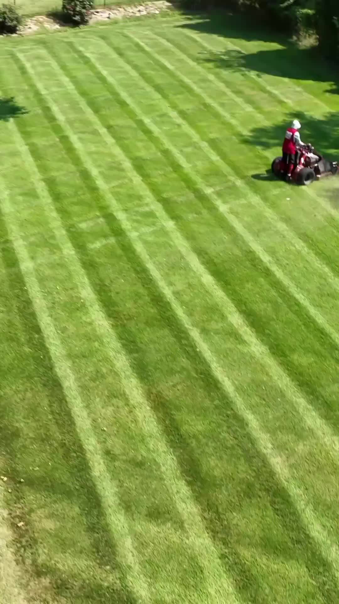 @Stripeleader