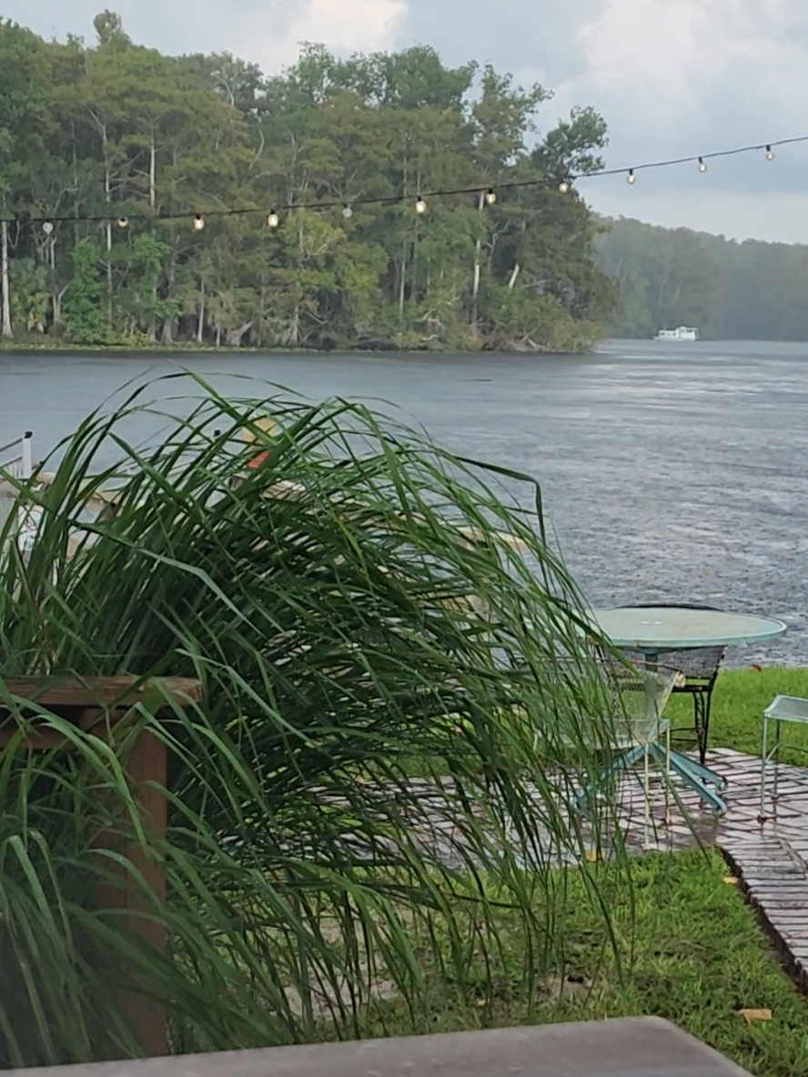 @Bella Lovely