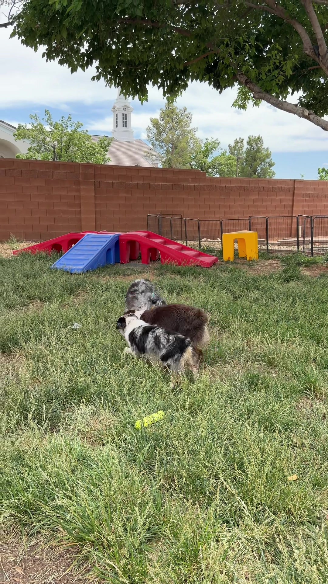 @CKC Training