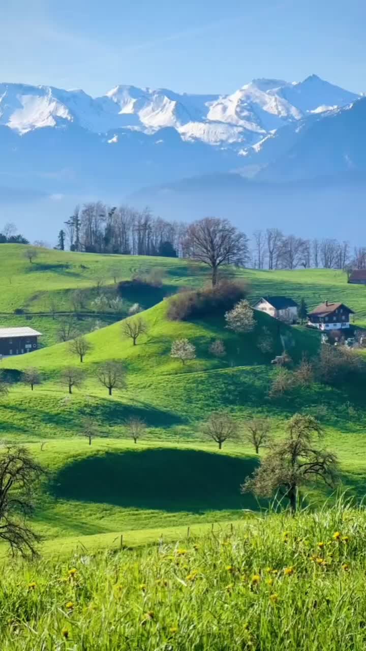 @marianarosoga276