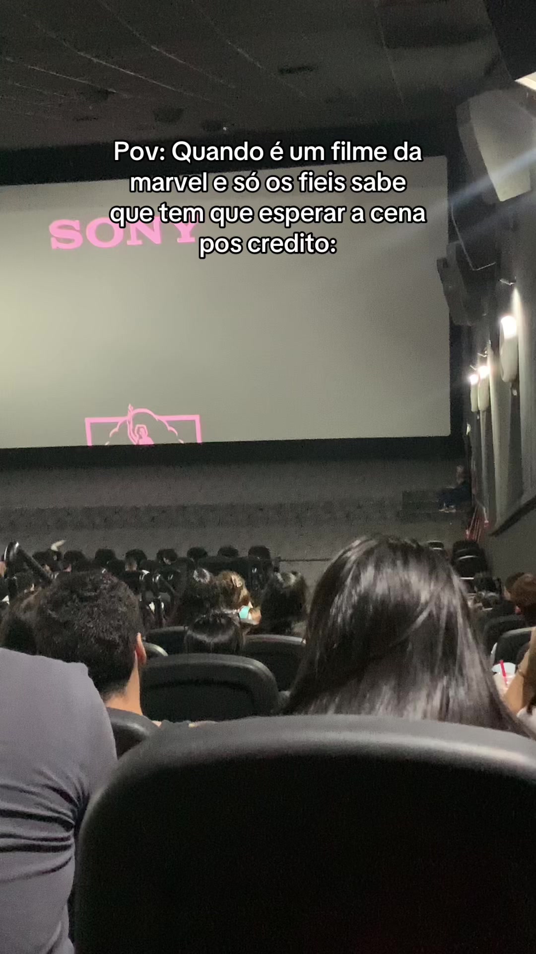 @🐒🐝🐀🐎🐘🦁🐝