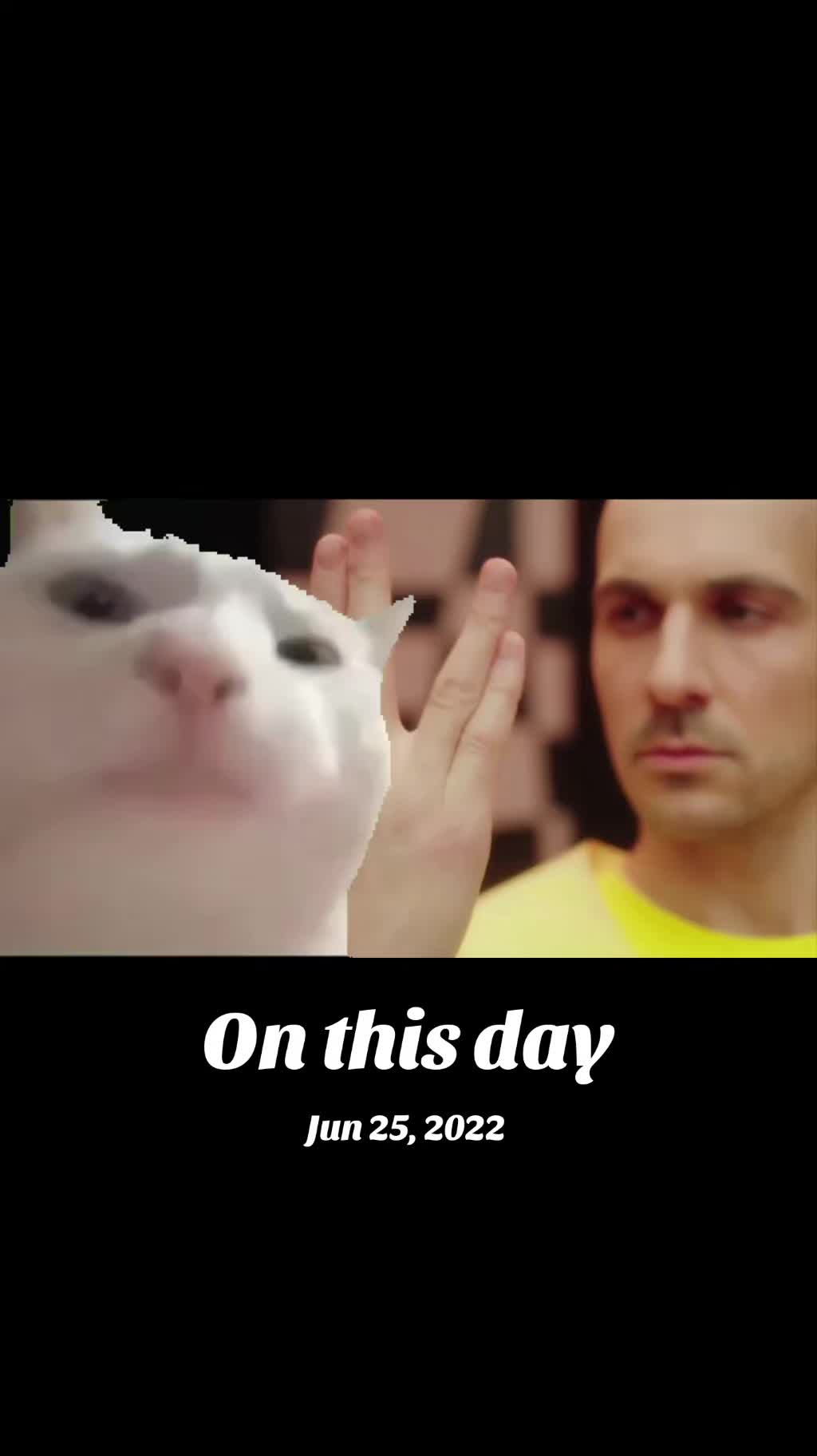 @theroopband