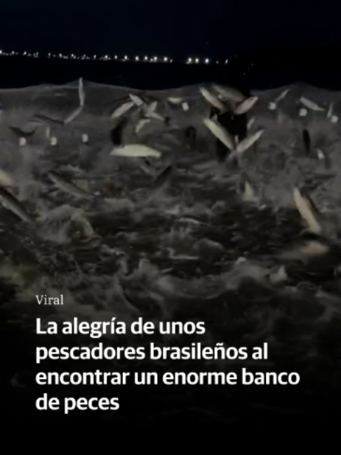 @El Diario Vasco