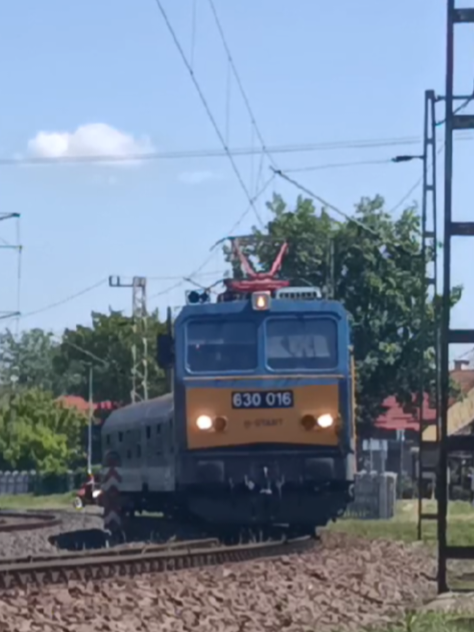@🚍Zsombor🚆
