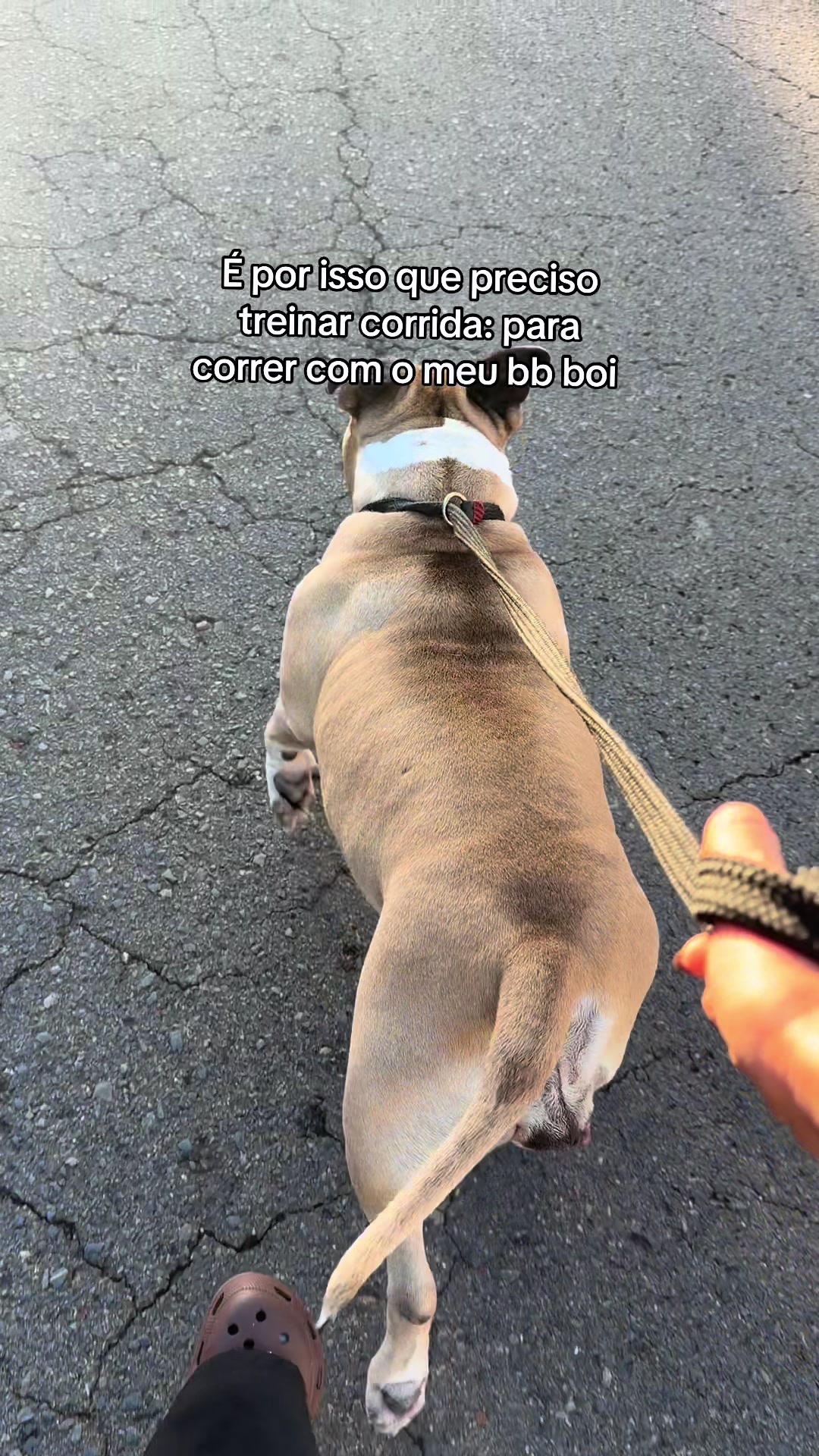 @Babi
