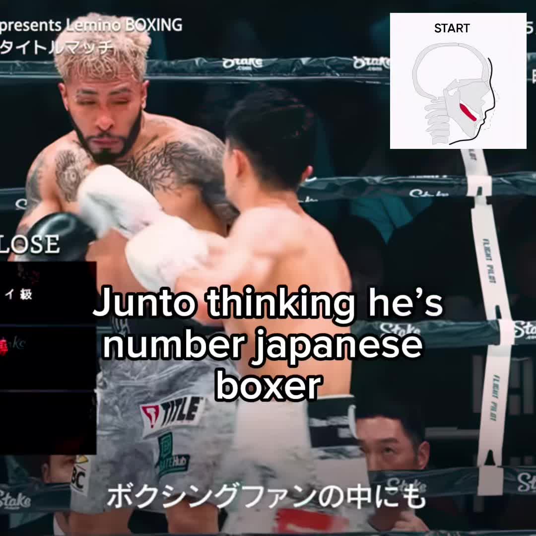 @boxing.arc