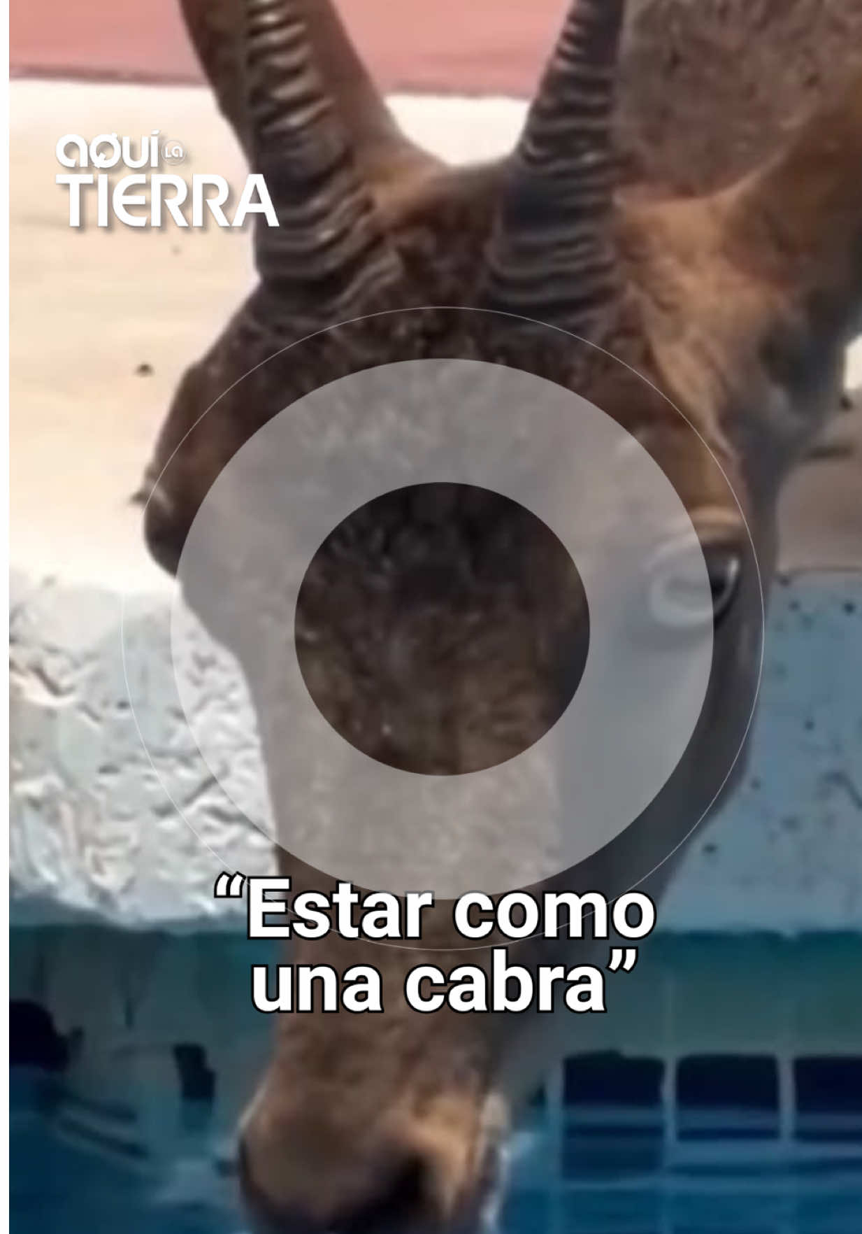 @La1 de TVE