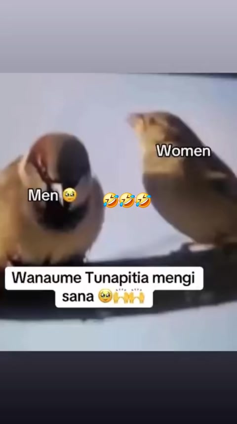 @shiruh ๐๐