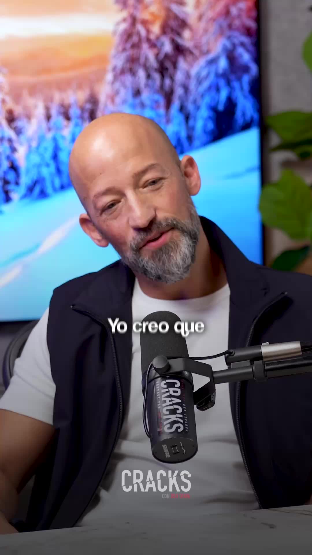 @Oso Trava