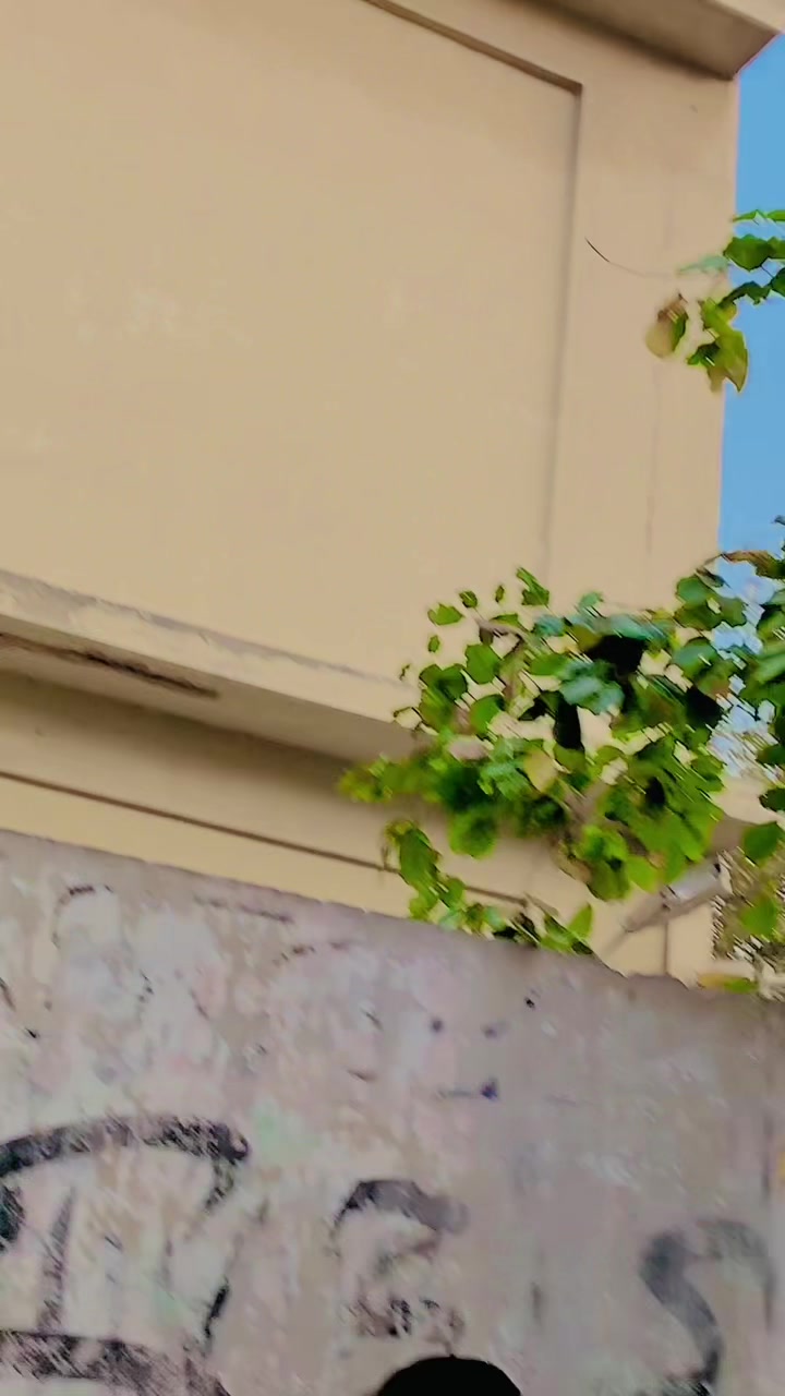 @𝓐𝓑𝓓𝓤𝓛𝓛𝓐𝓗 𝓑𝓞𝓢𝓢 🫡