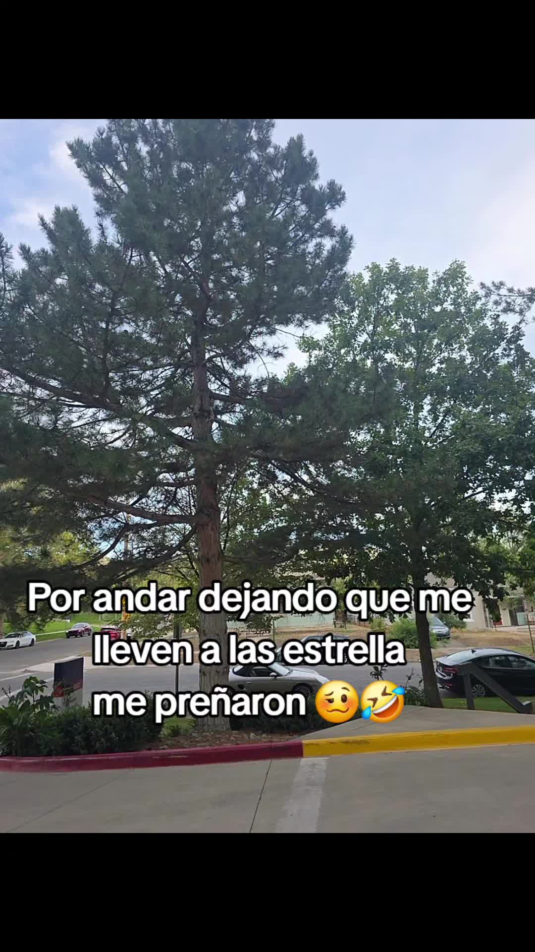 @Phidela Alejandra ✨🥰