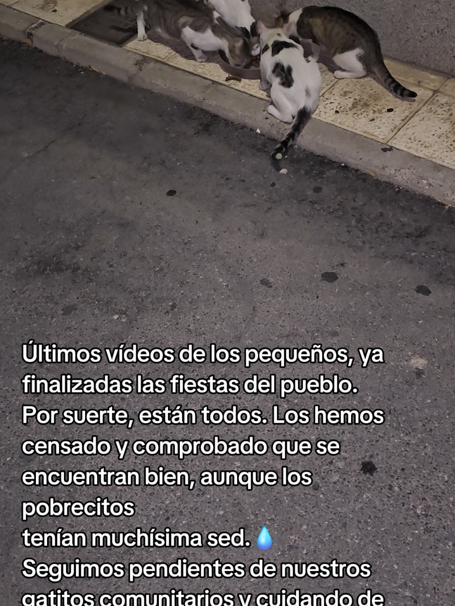 @garritasespaciales