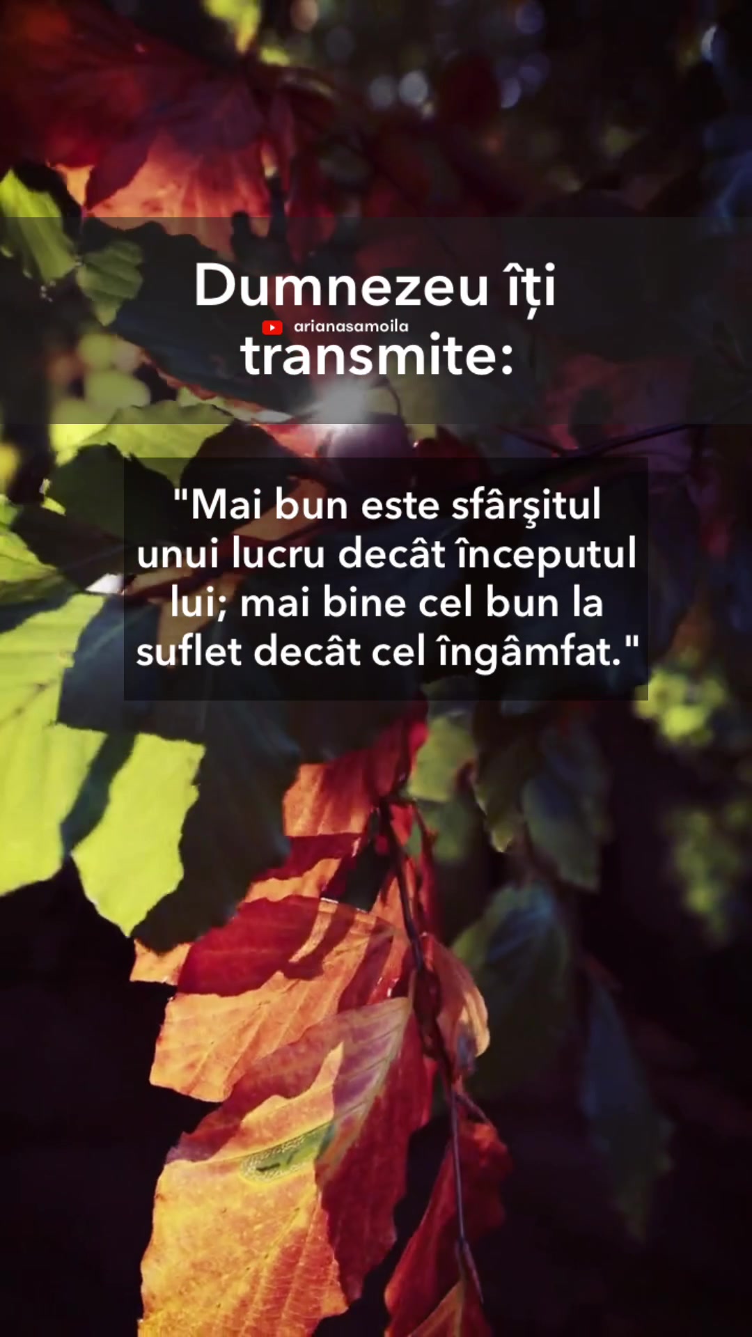 @Ariana Samoilă