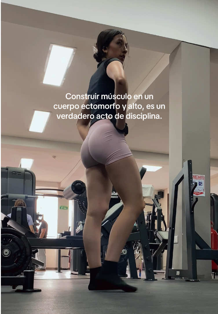 @danidarabos