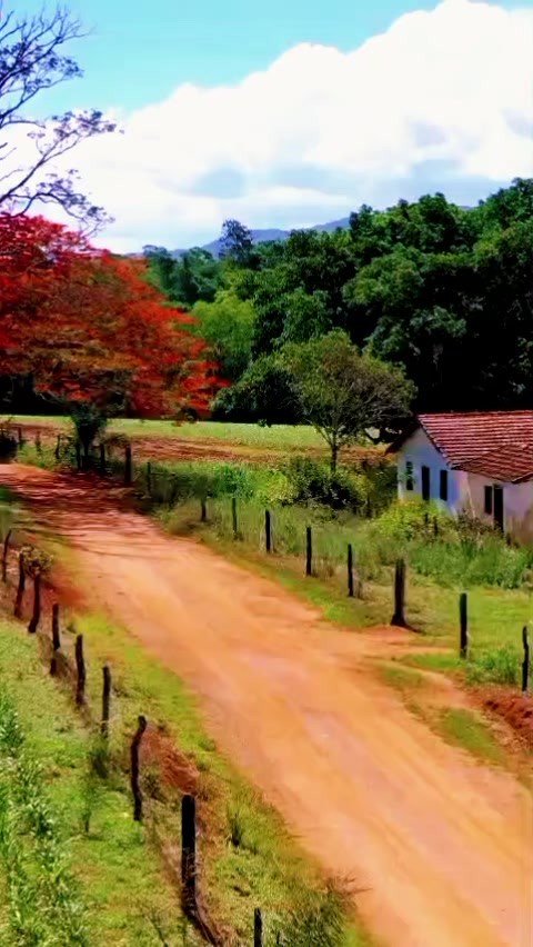 @Beatriz Dias