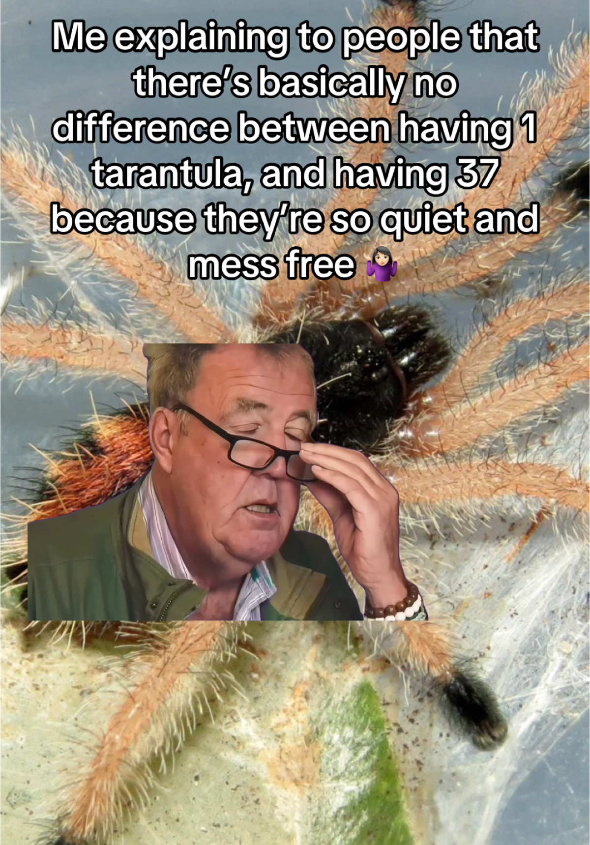 @The Tarantula twins 🕷️