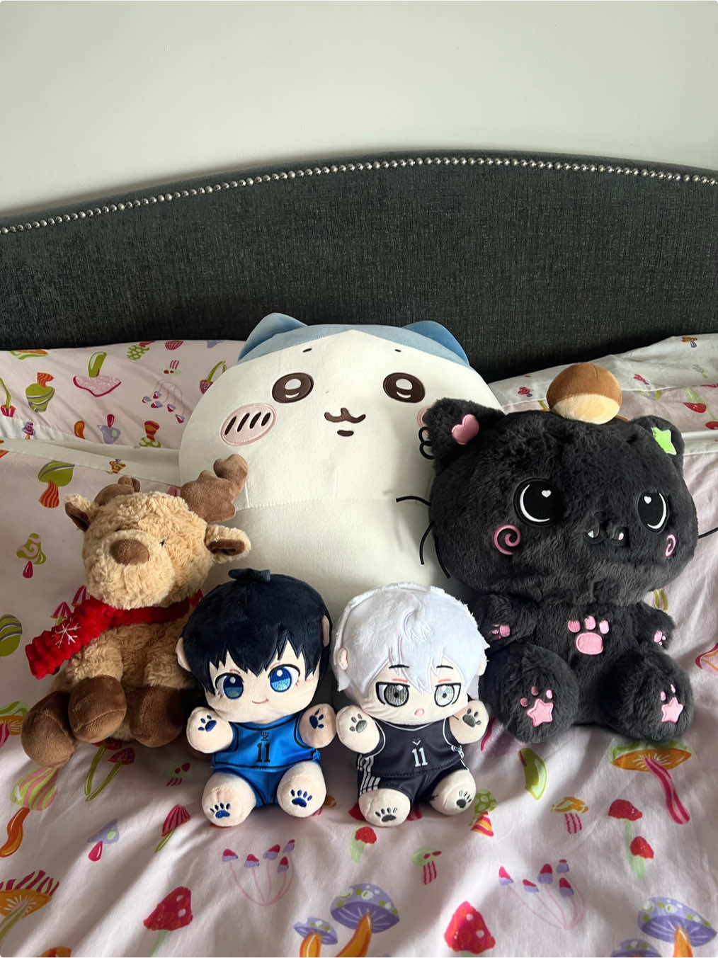 @ranti 🧃🐻