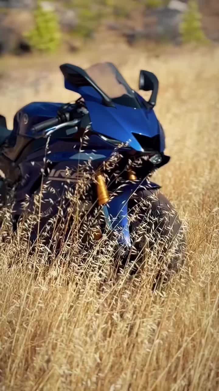 @Moto Tr🇹🇷