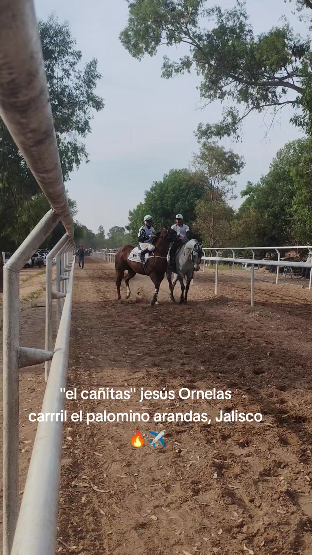@carriles altos de jalisco🐎