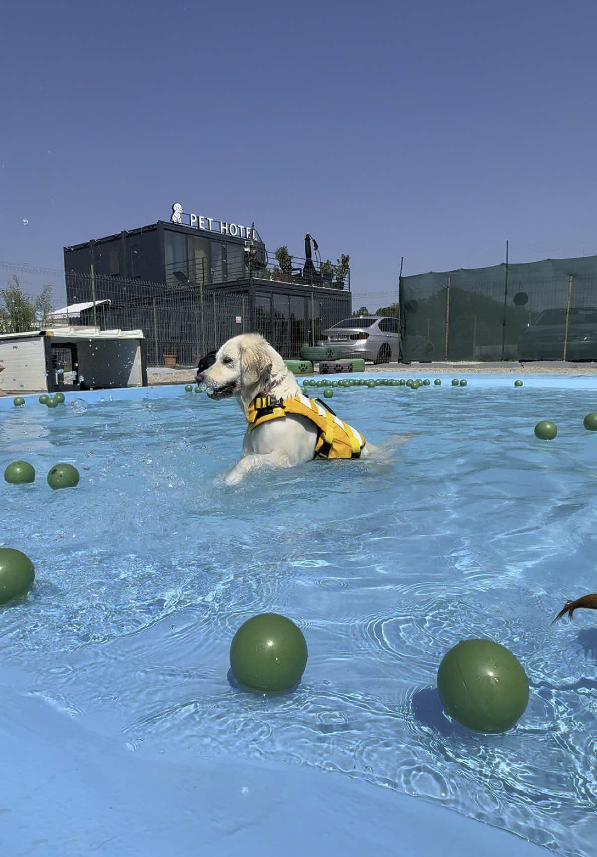 @Puppy Land Resort