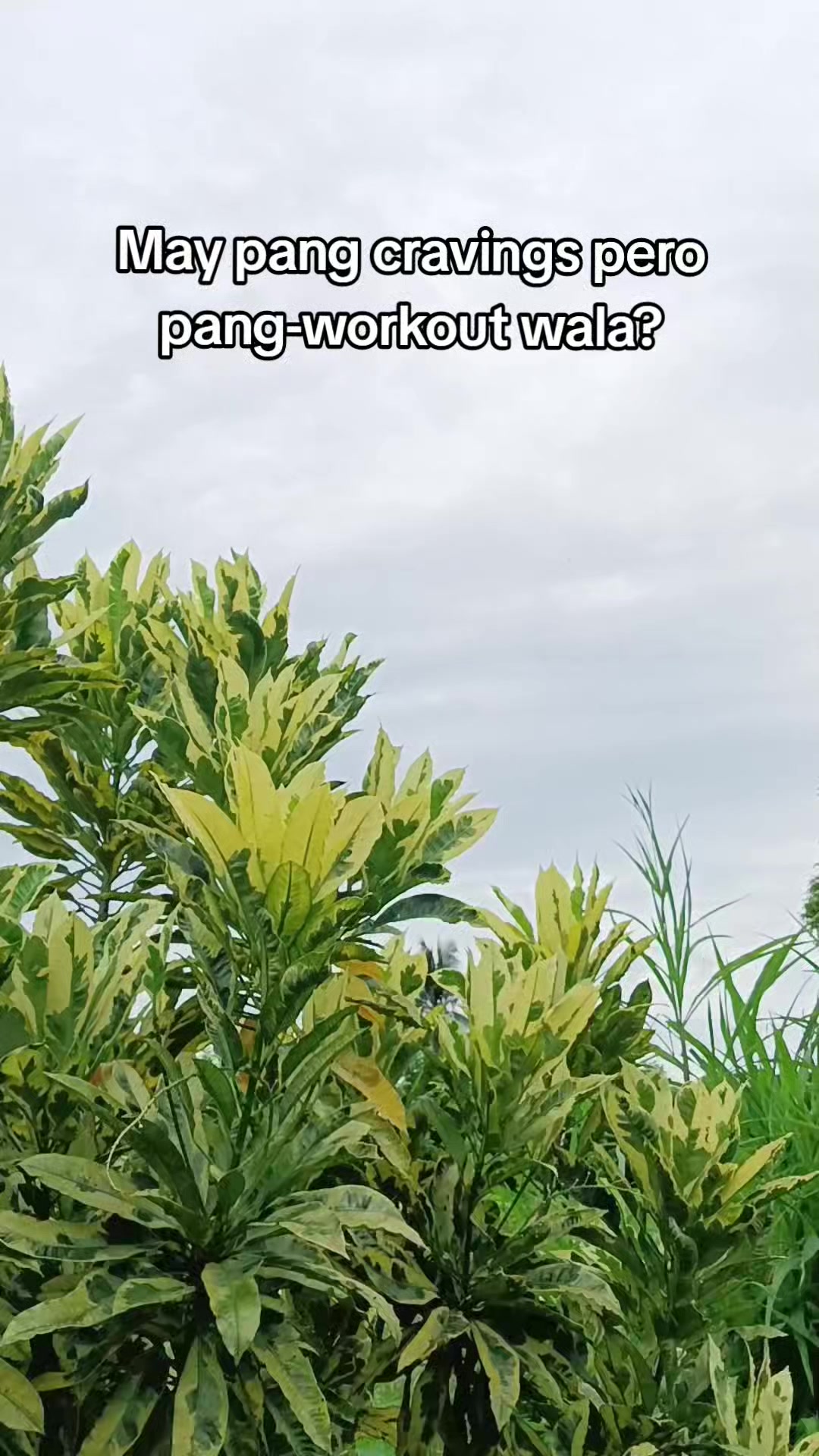 @Makoy na Koykoy 2