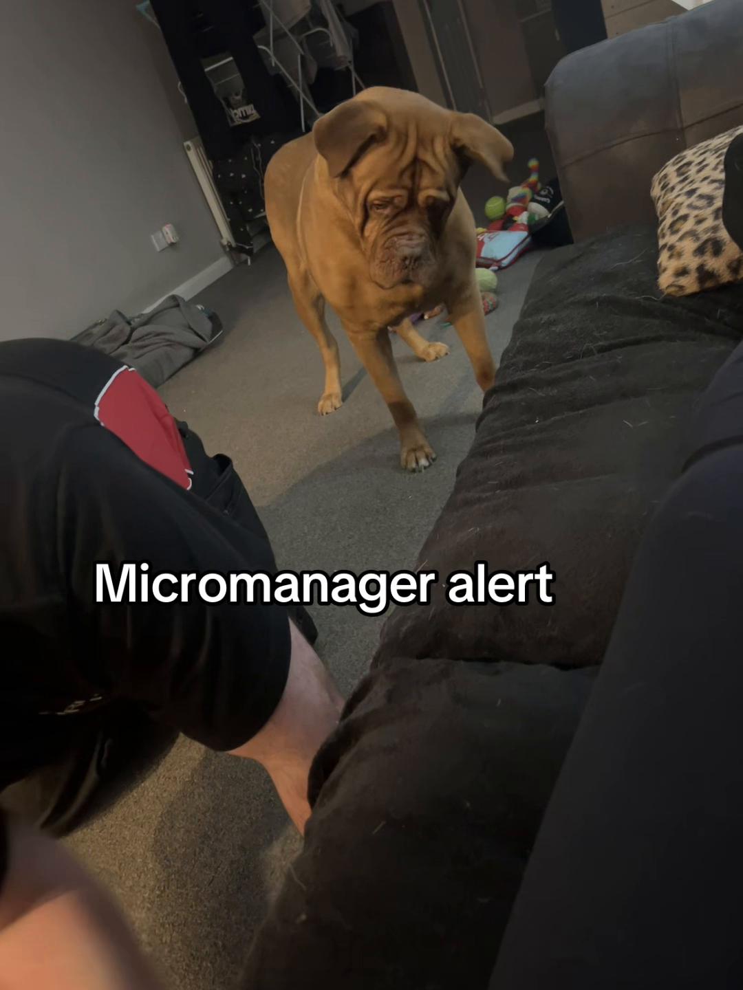 @mrbronson19