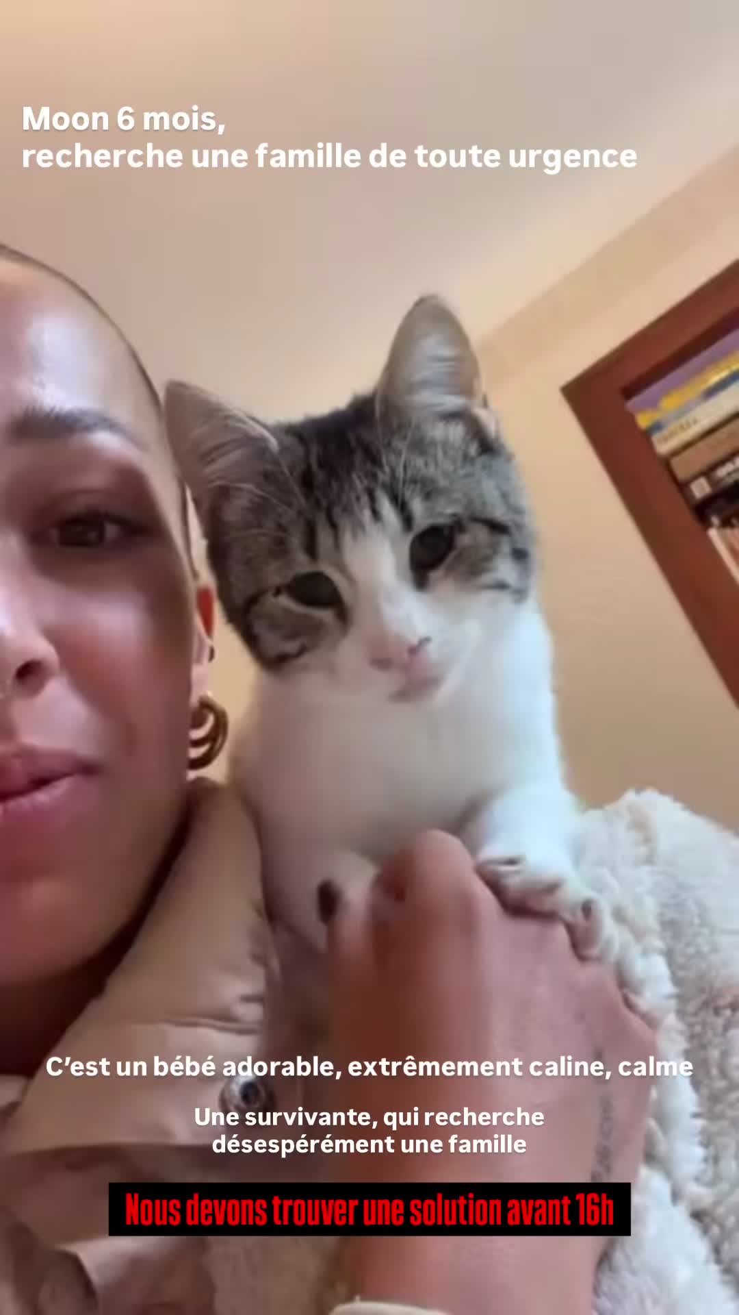 @Association Puppykittyfrance