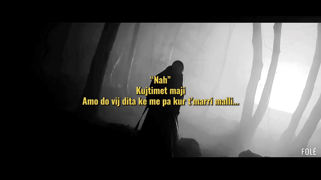 @๐ฝ๐ข๐๐๐ โก๏ธ