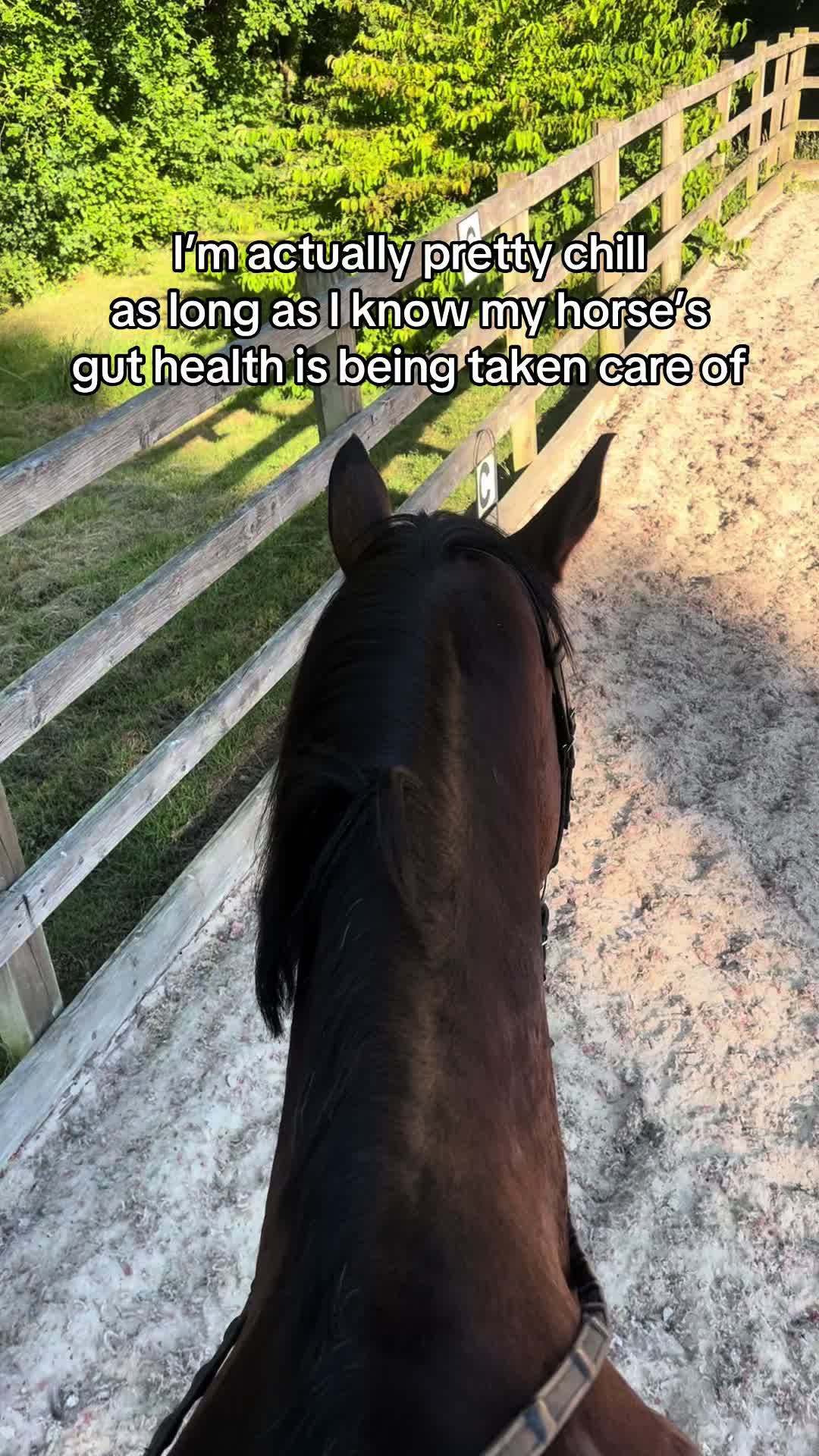 @Protexin Equine