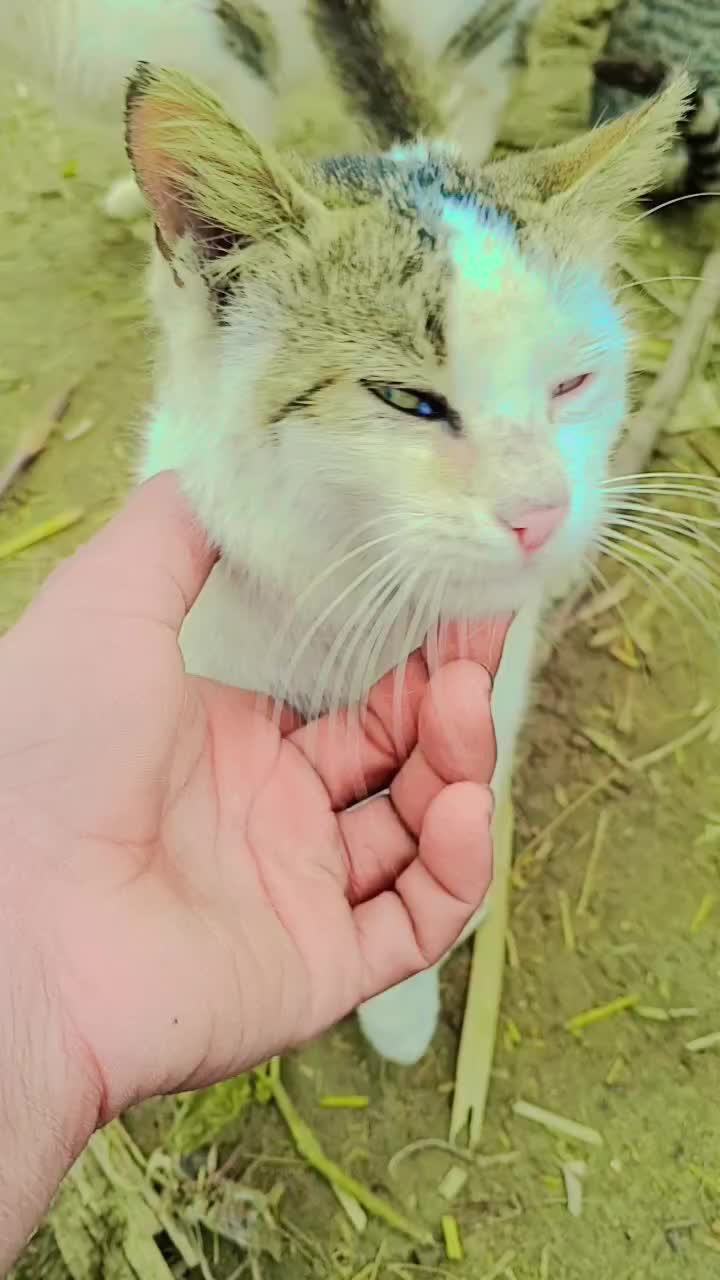 @𝐉𝐚𝐦ش𝐚𝐢𝐝