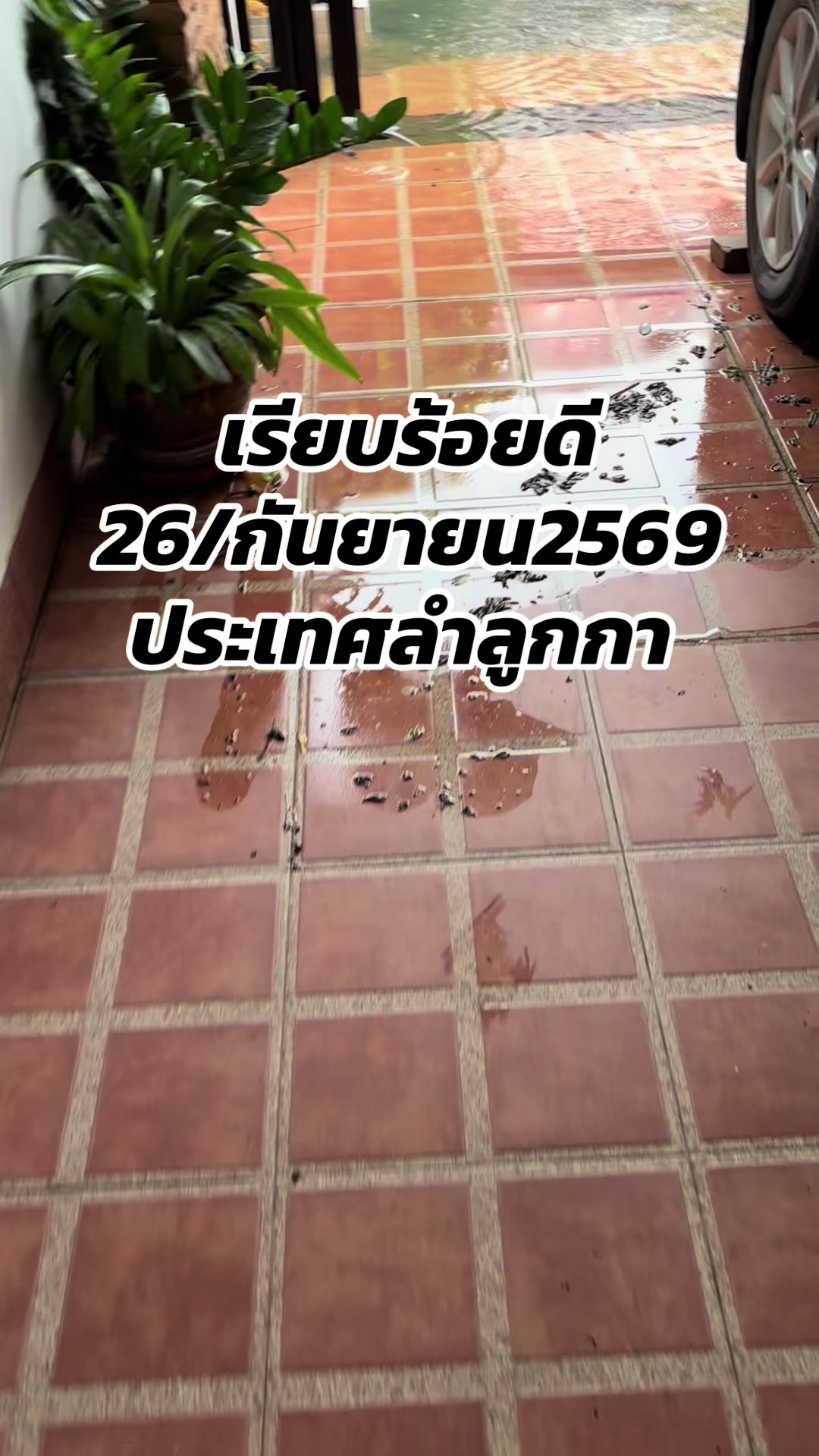 @ฮักที่ให้มาคึมีหญ้าคาติดมานำ