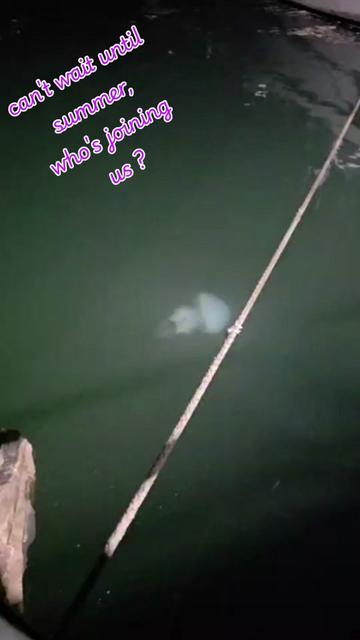 @s_t_a_c_y__l_o_u