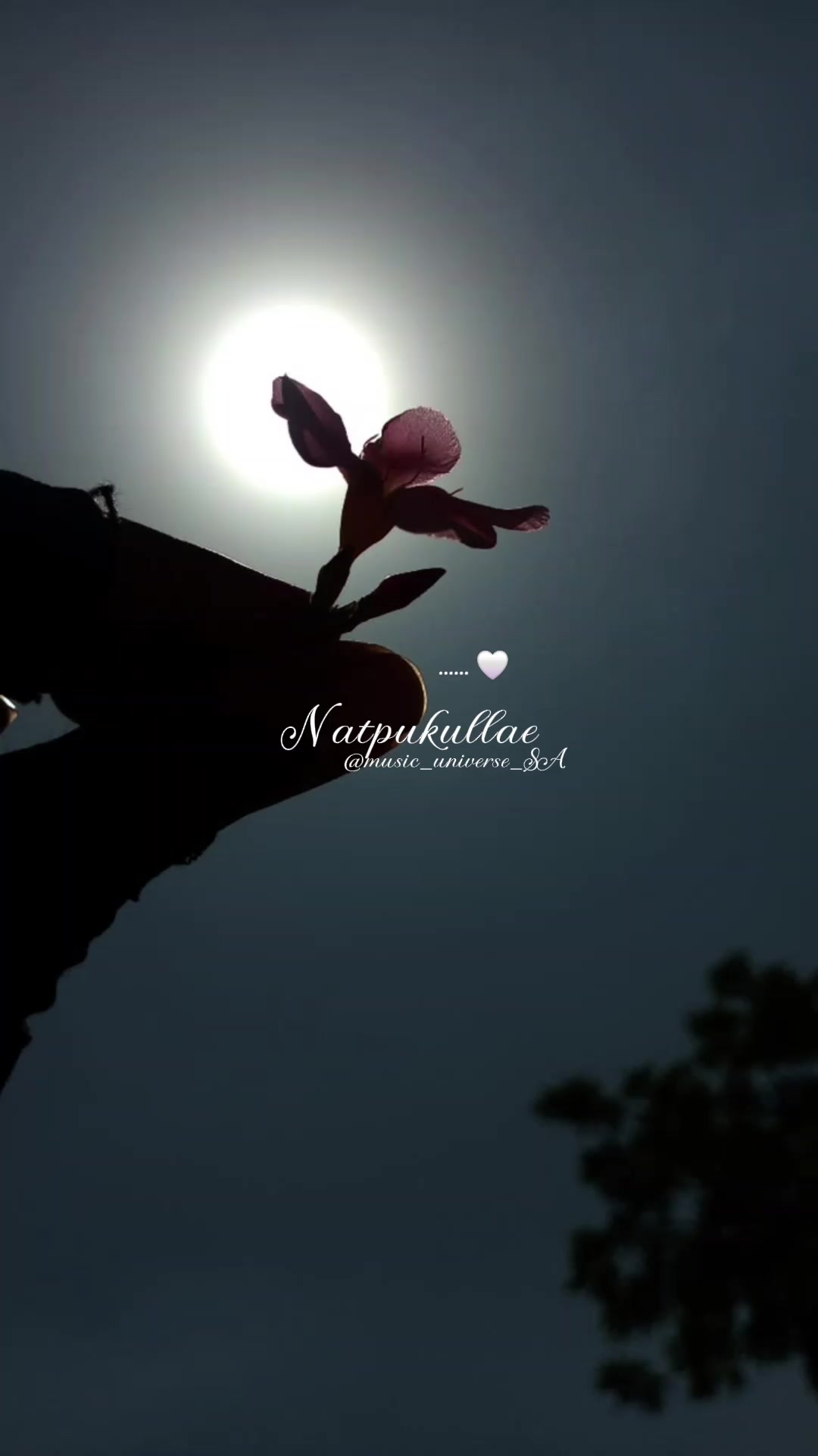 @♥๐๐๐๐๐พ ๐๐๐๐๐๐๐๐♥