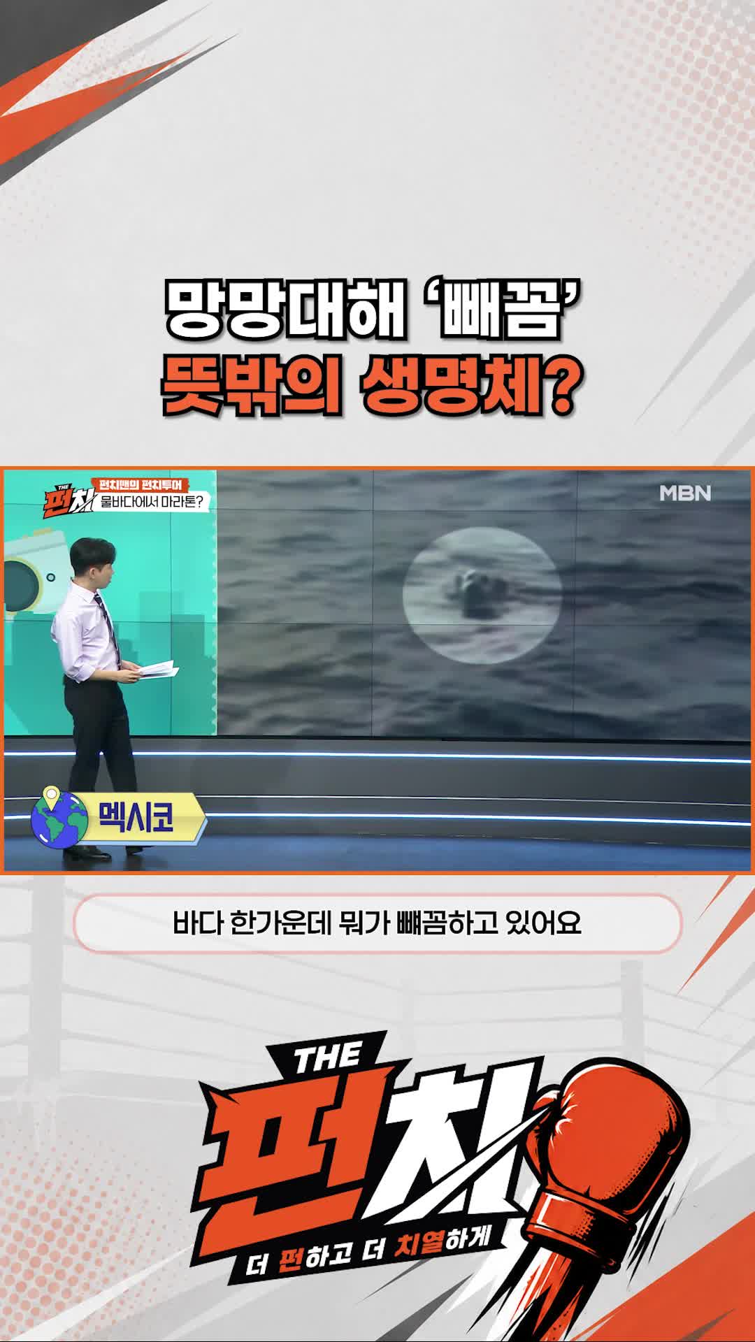 @MBN NEWS