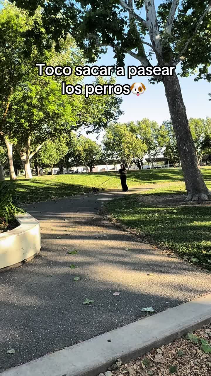 @Angiee 💫🪬