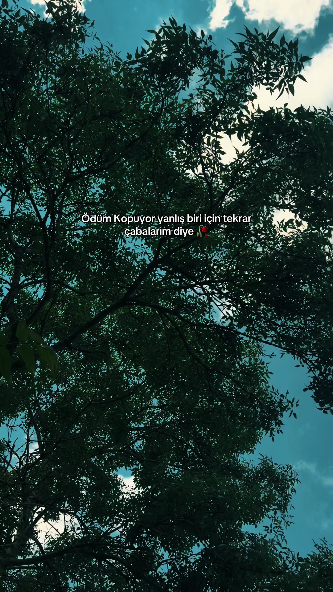 @storylik_72_21⛰️☀️