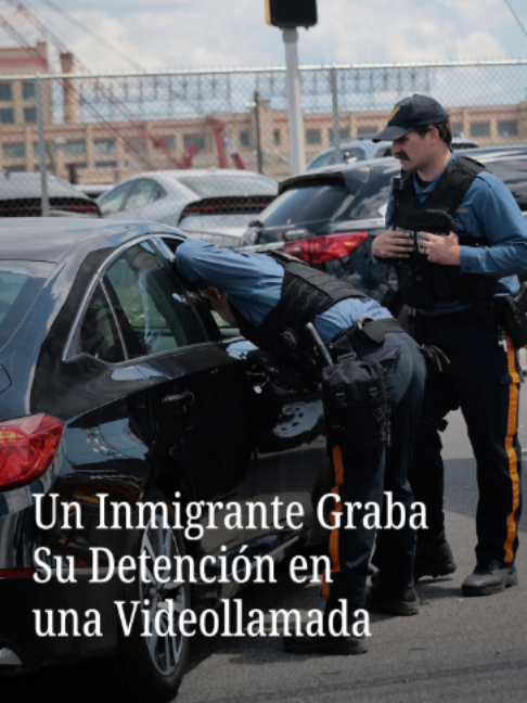@N+ UNIVISION