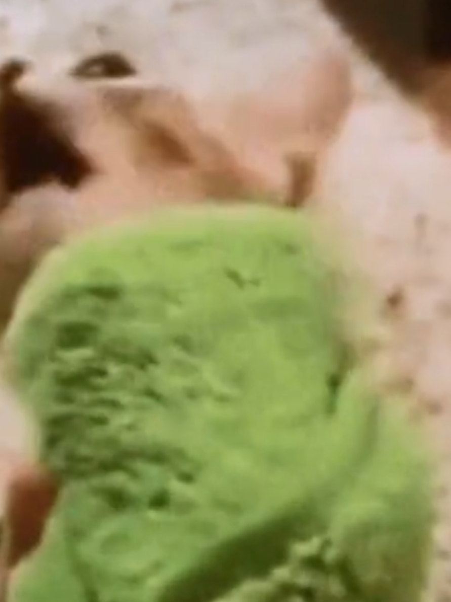 @hi