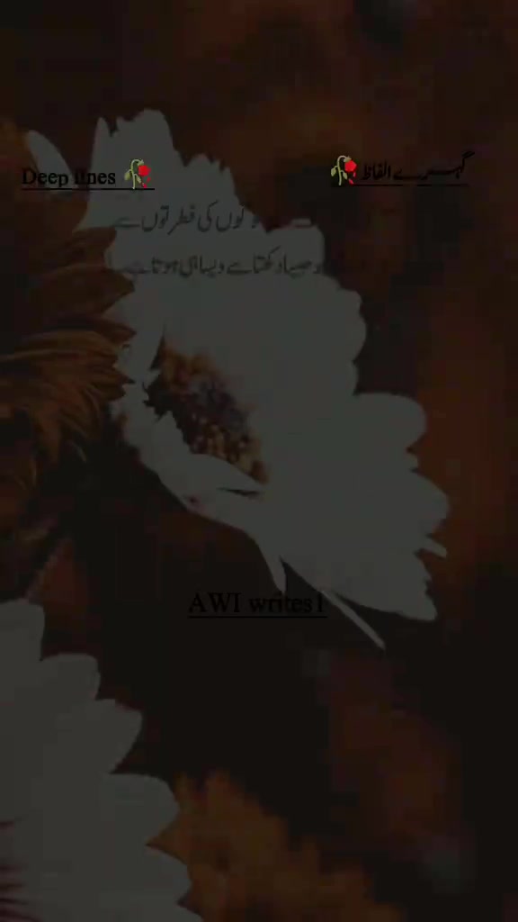 @Zubair Sahu
