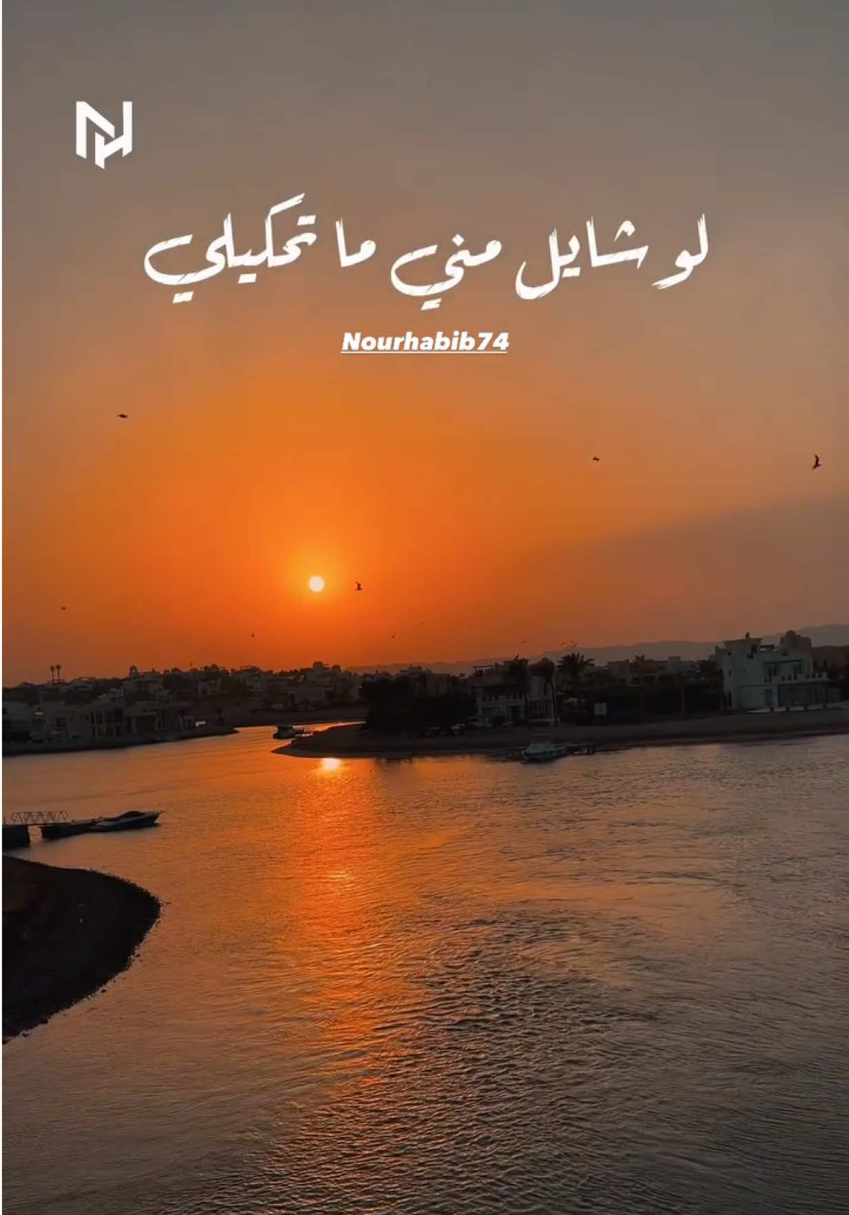 @NourHabib74
