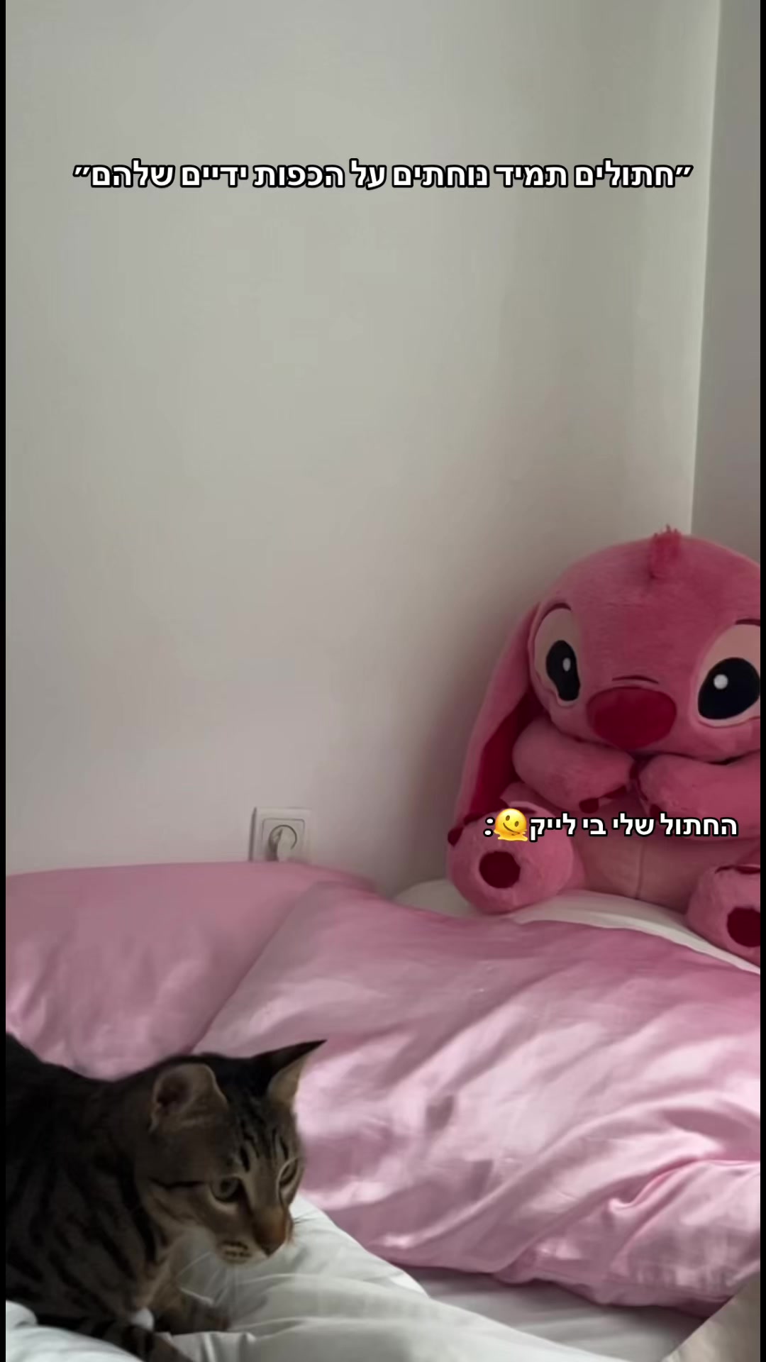 @דריה אמבורג❤️
