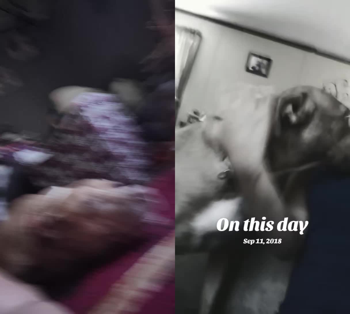 @banana