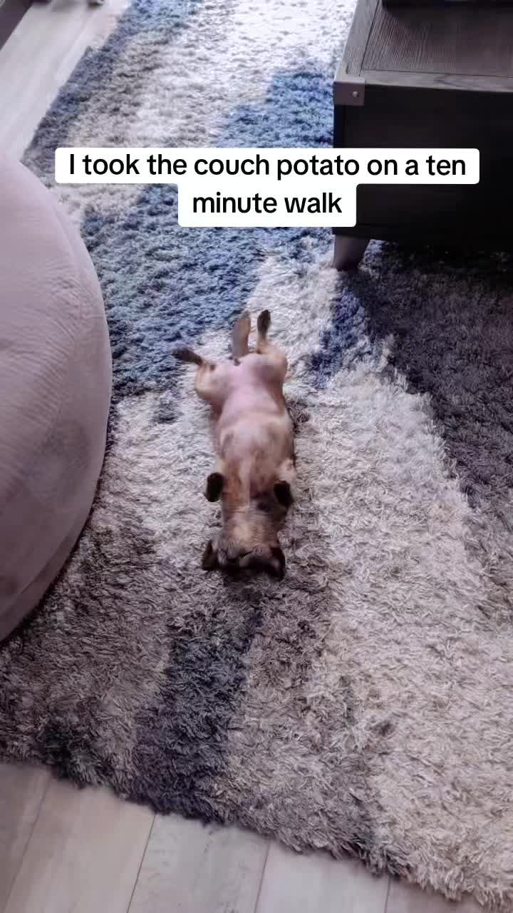 @xofrankieox