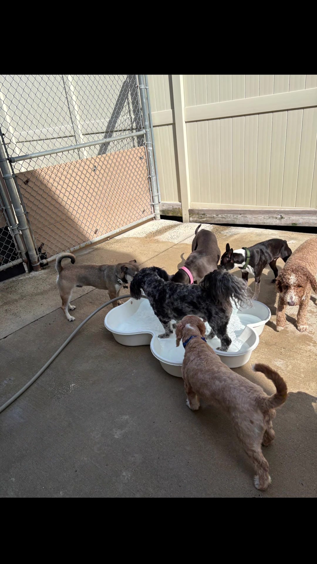 @CampBowWow Eatontown