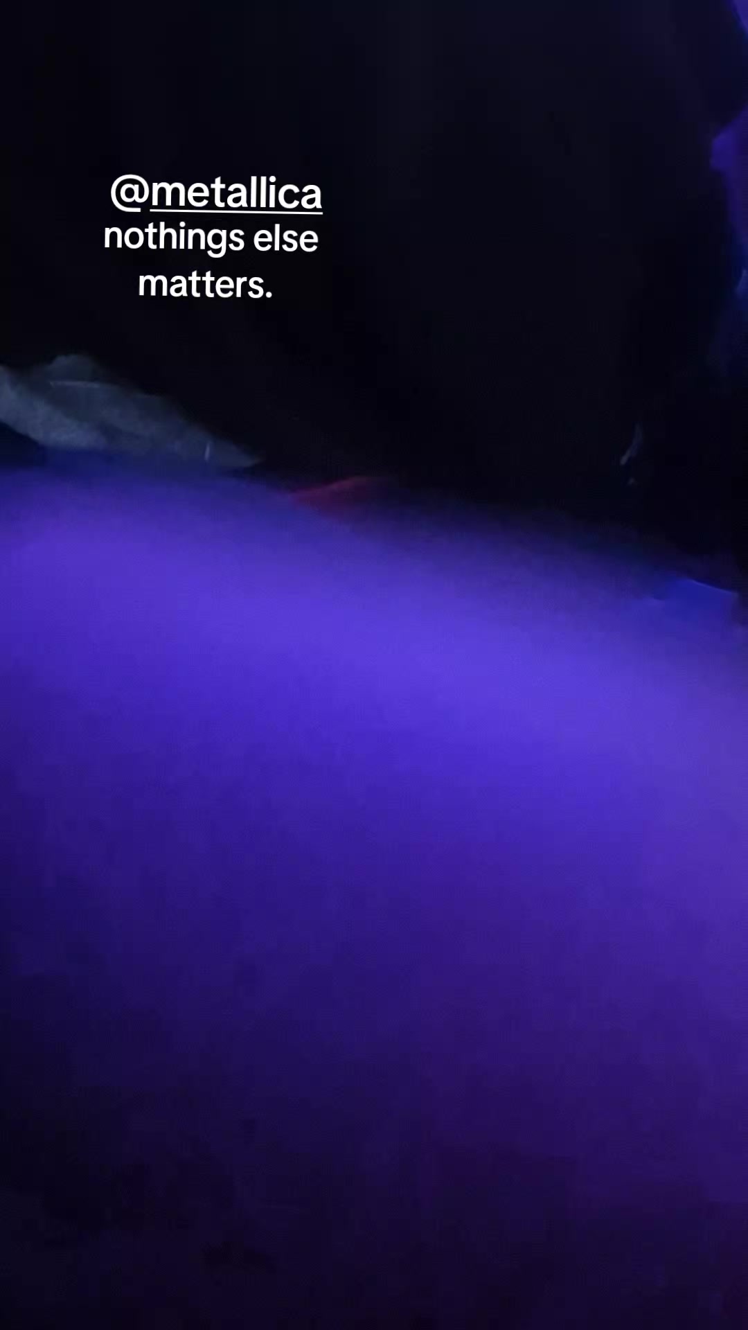 @Ozzyman666