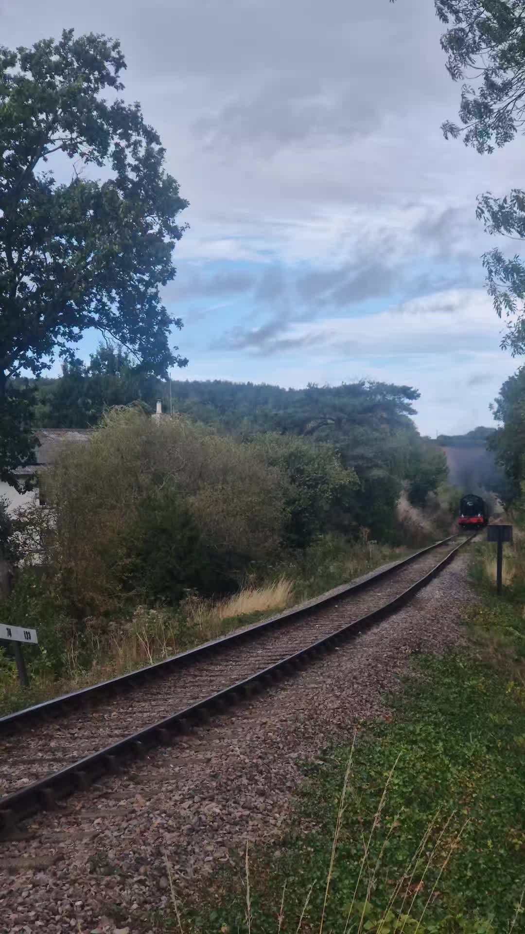 @Torbay Trainspotter