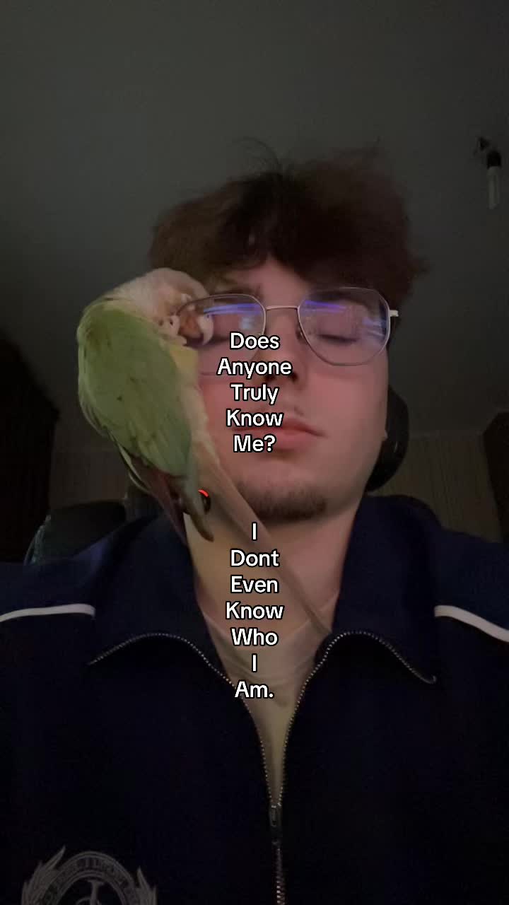 @Bruqq