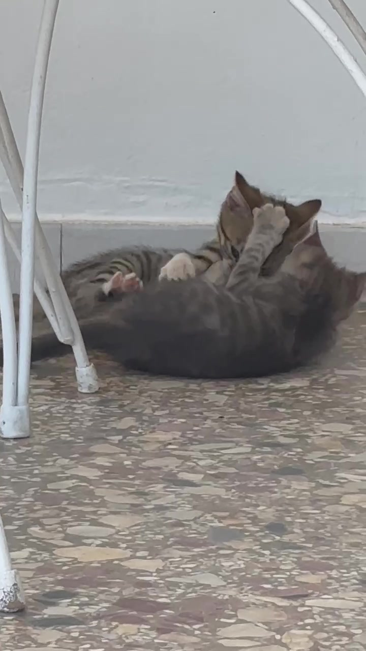@Χρηστος Γραβος