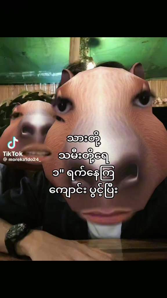 @𝙺𝚊𝚒𝚍𝚘2.0ᴿᴷᶻ