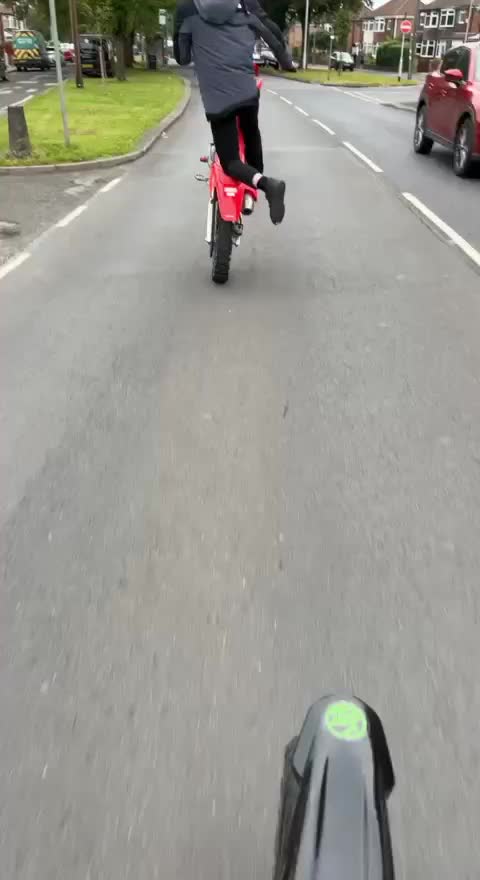 @rammcr 🐦&zwj;🔥